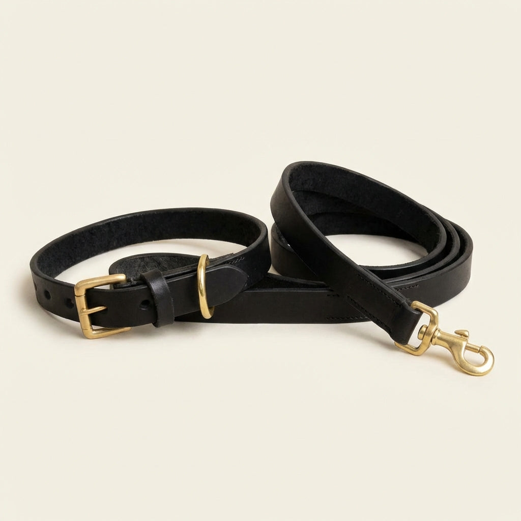 Full grain Argentinian leather leash & collar set in Black