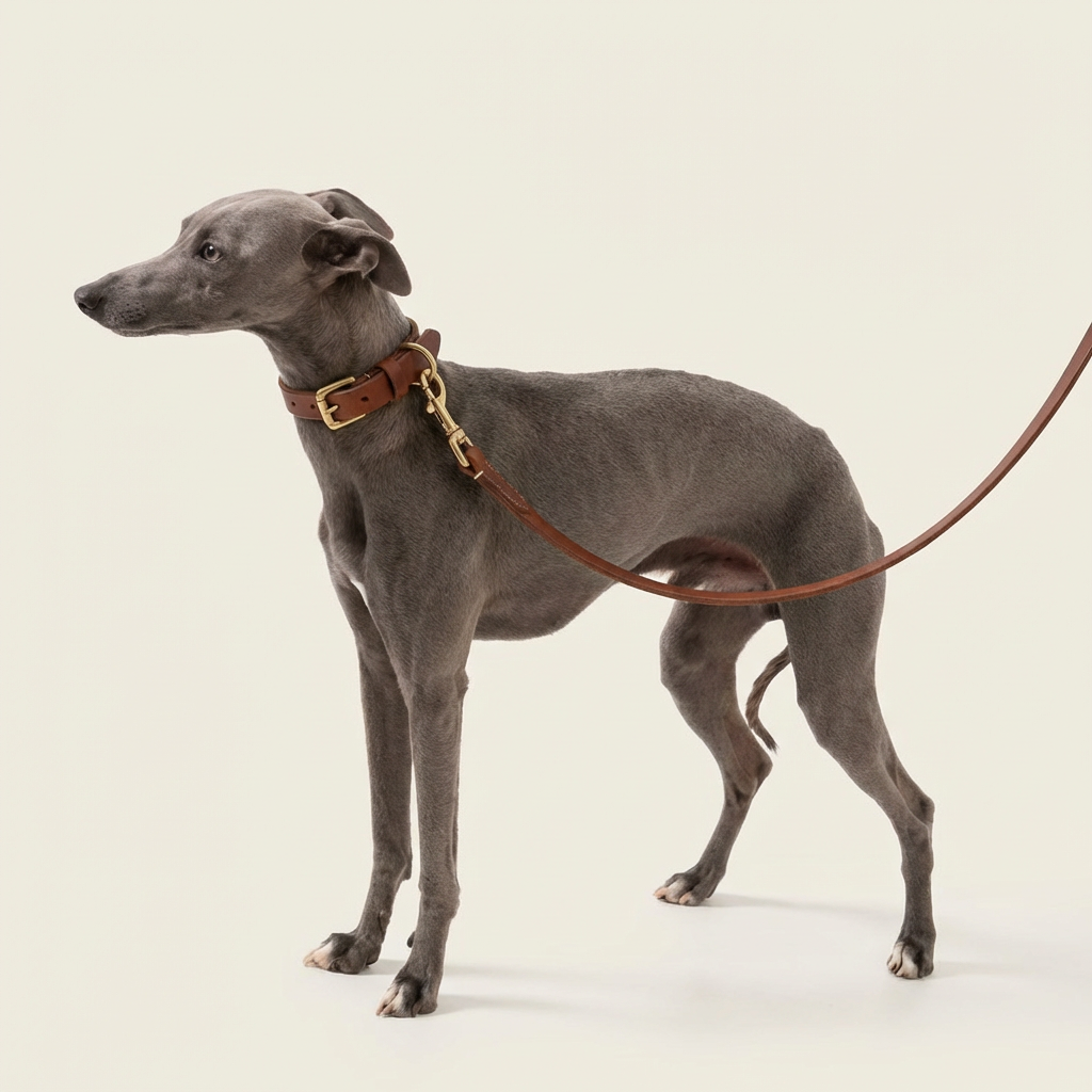 Full grain Argentinian leather leash & collar set in Cognac