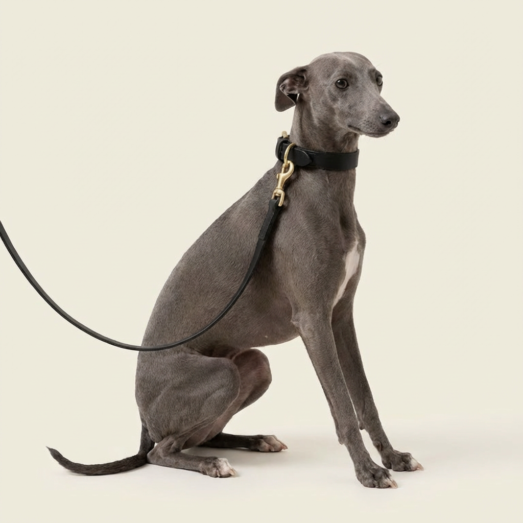 Full grain Argentinian leather leash & collar set in Black